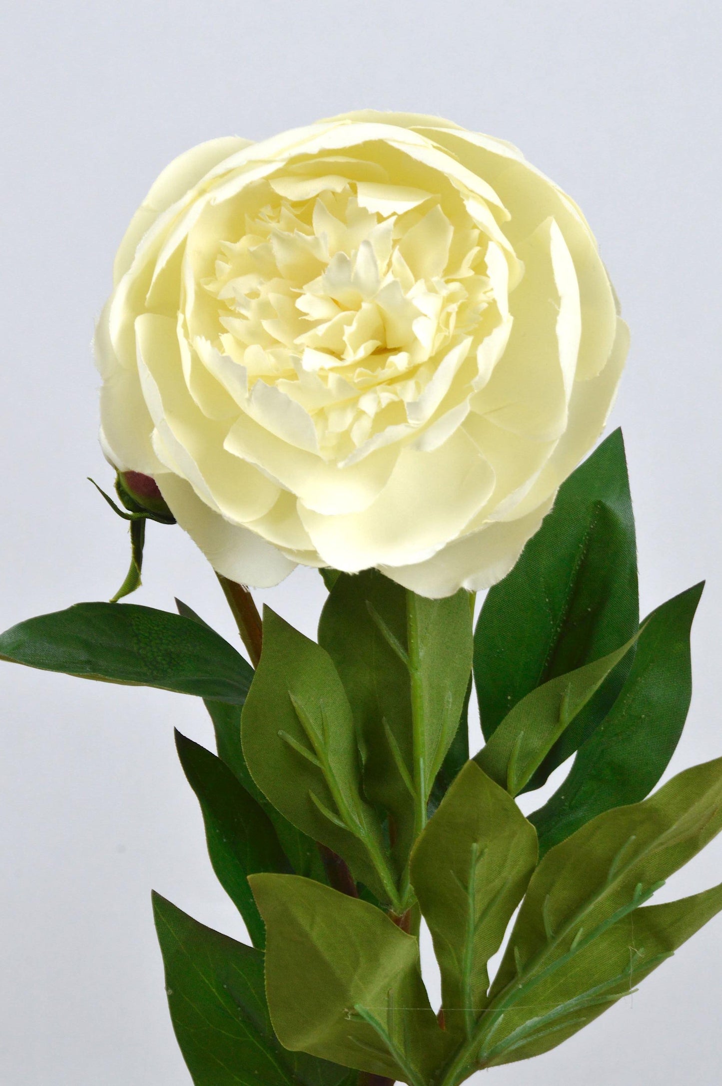 Artificial Cream Ivory Peony Frilled Petals With Bud, faux peony, artificial peony, ivory peony