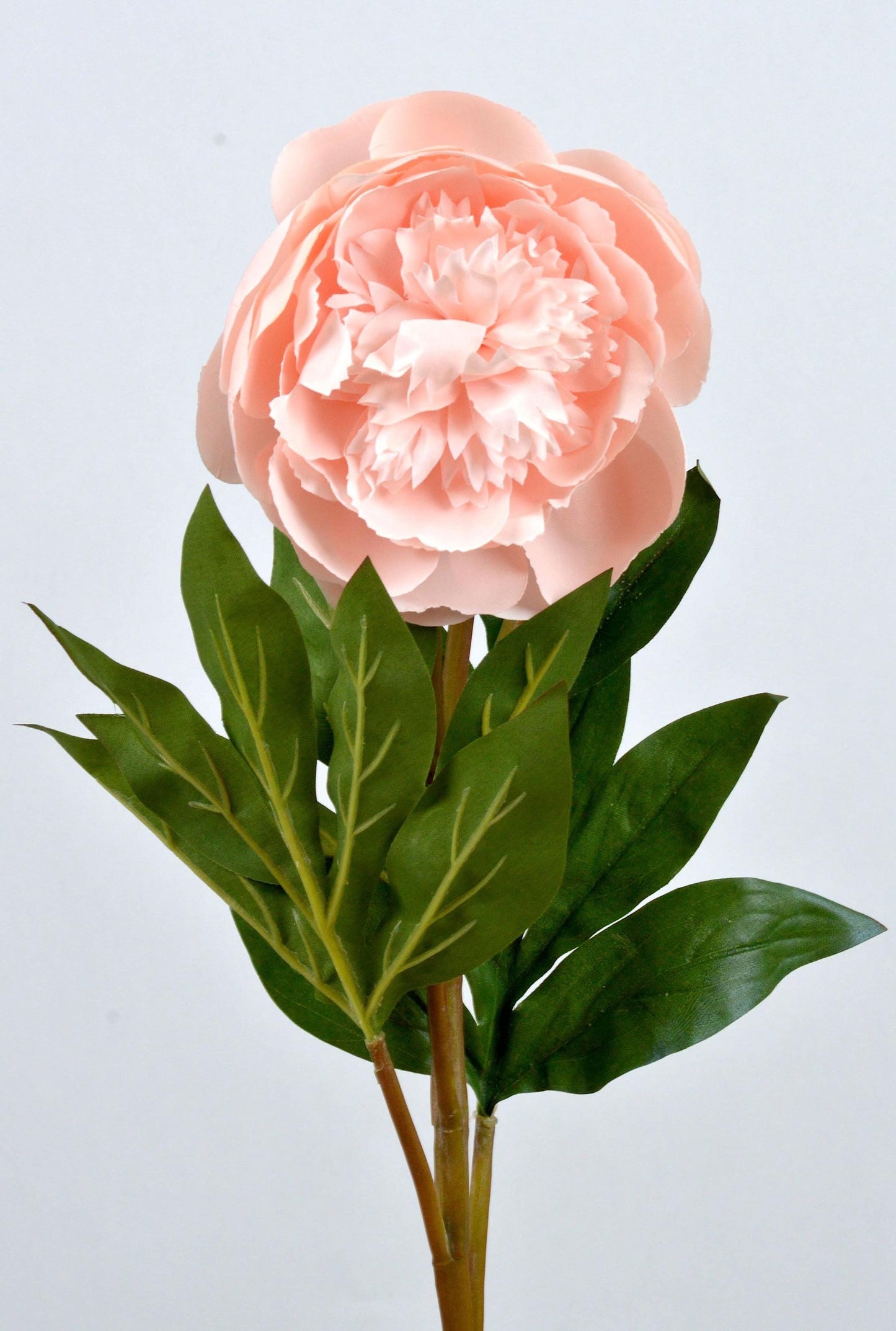 Artificial Peony Blush Pink Frilled Petals With Bud, faux peony, artificial peony, blush peony