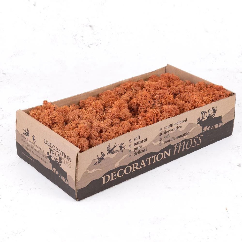 NEW Luxury Artificial Mango Orange Reindeer Moss Natural Preserved 425g-450g Box, Floristry, Wreath Making, DIY Craft, Terrariums