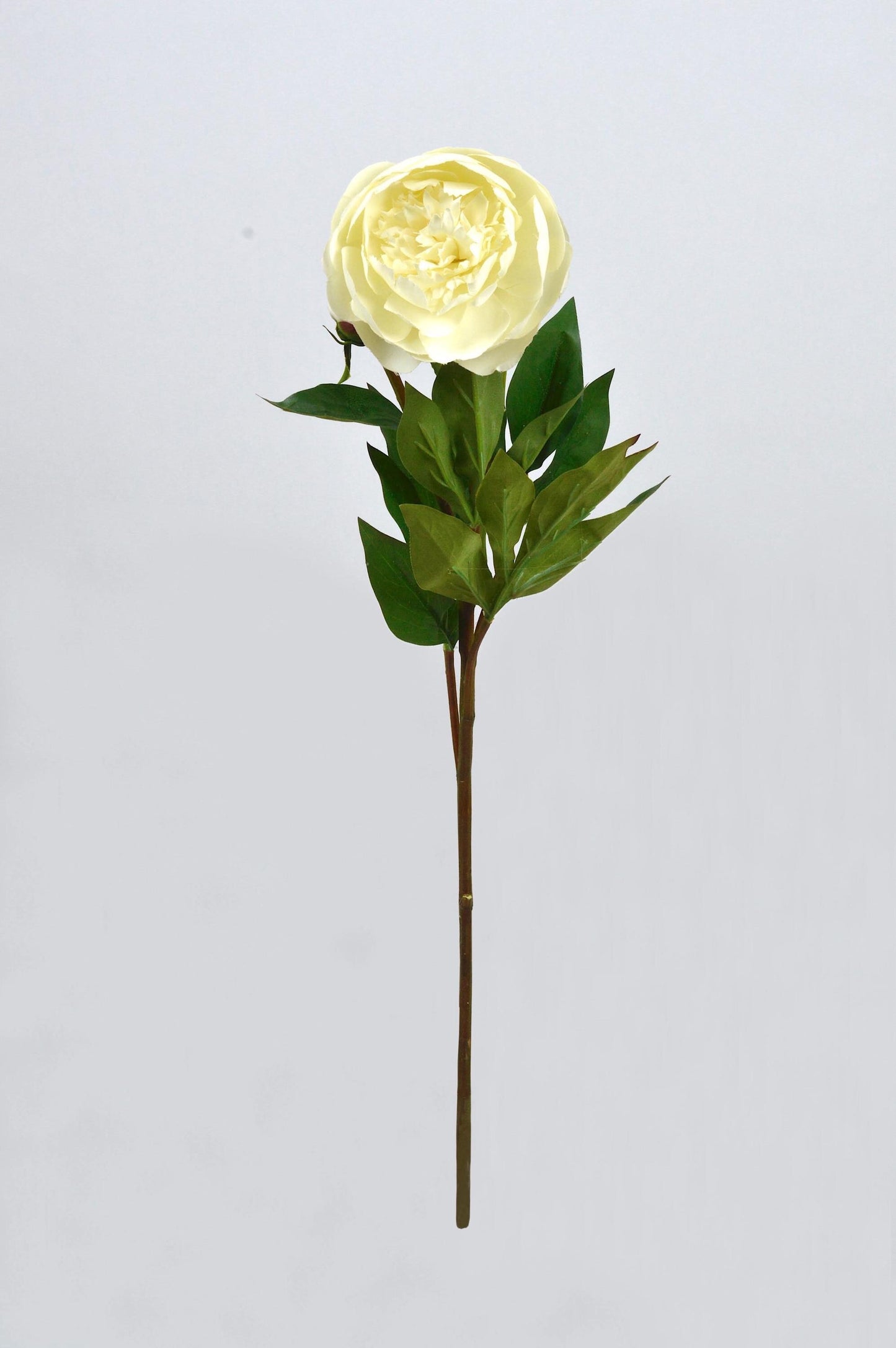 Artificial Cream Ivory Peony Frilled Petals With Bud, faux peony, artificial peony, ivory peony