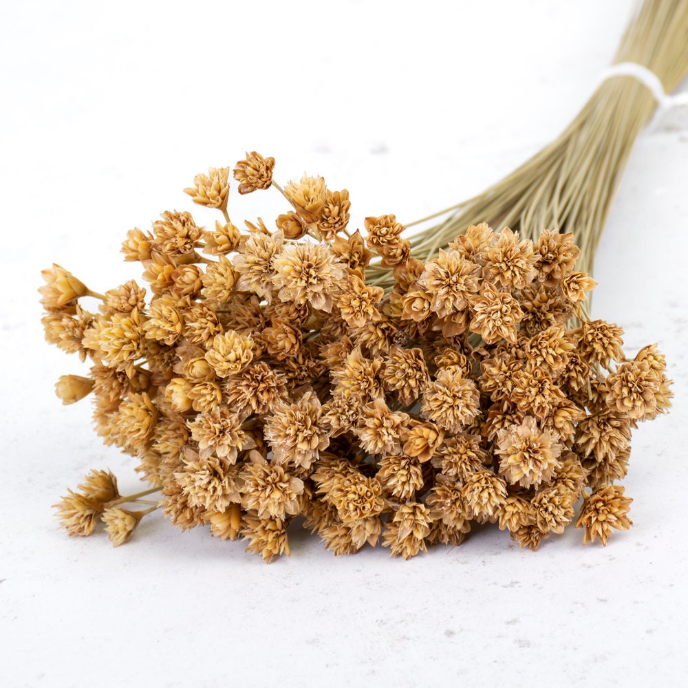 Dried Hill Flower Stem – 60cm Faux Stem for Seasonal Bouquets & Décor
