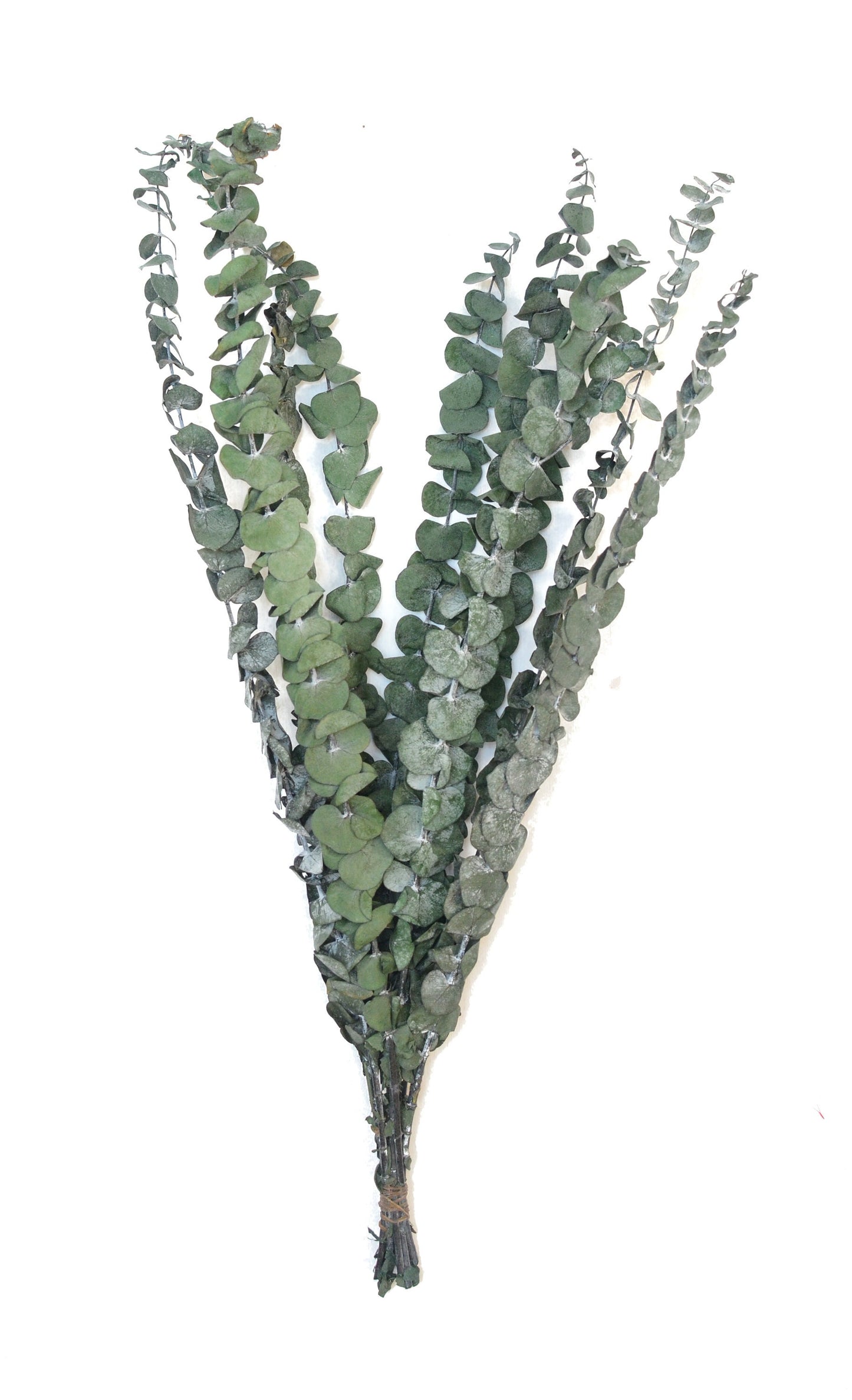 Artificial Eucalyptus, faux eucalyptus, artificial foliage, artificial flowers, wedding foliage, green eucalyptus, eucalyptus stem