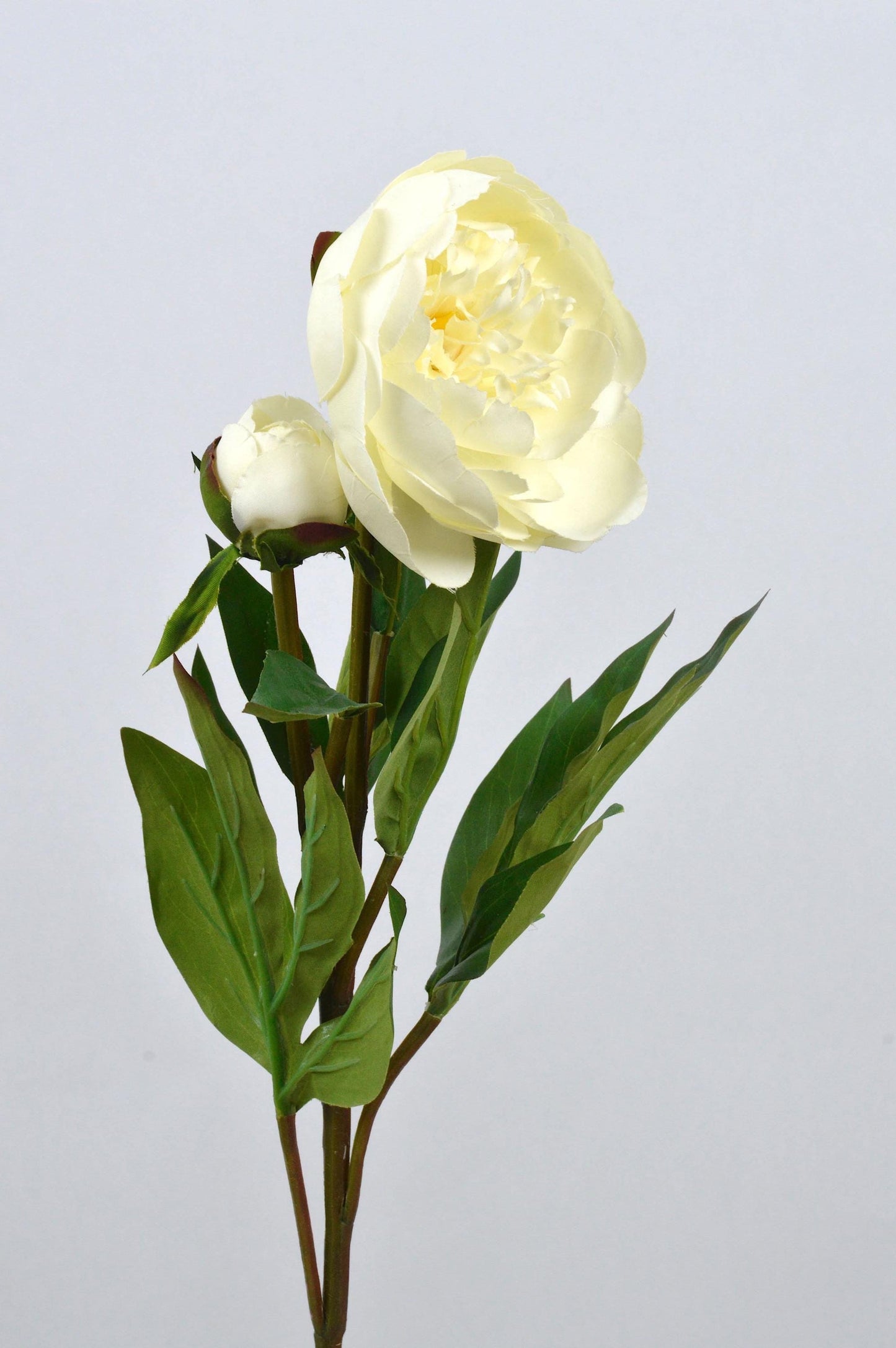 Artificial Cream Ivory Peony Frilled Petals With Bud, faux peony, artificial peony, ivory peony