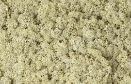 Natural Reindeer Moss Preserved 425g-450g Box, Floristry, Wreath Making, DIY Craft, TerrariumsHornby railway modeling