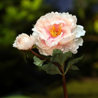 Artificial Blush Peony with Bud, faux peony, artificial peony, blush peony
