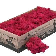 NEW Luxury Artificial Crimson Red Reindeer Moss Natural Preserved 425g-450g Box, Floristry, Wreath Making, DIY Craft, Terrariums