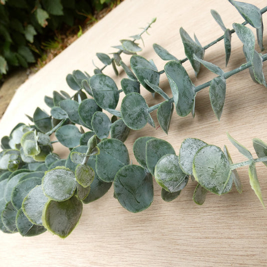 Artificial Eucalyptus, faux eucalyptus, artificial foliage, artificial flowers, wedding foliage, green eucalyptus, eucalyptus stem