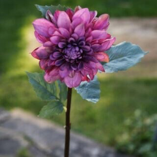 Mauve Dahlia, faux dahlia, artificial flowers, mauve wedding flowers, styling prop, set decoration, dahlia decor, artificial dahlia 80cm