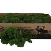 Dark Green Reindeer Moss Natural Preserved 500g Box Floristry Wreath Making DIY Craft Terrariums Warcraft Set Design Retail Display