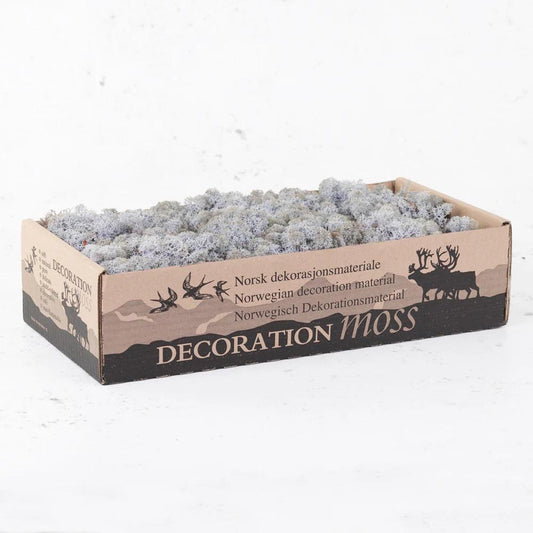 Lavender Blue Reindeer Moss Natural Preserved 425g-450g Box, Floristry, Wreath Making, DIY Craft, Terrariums