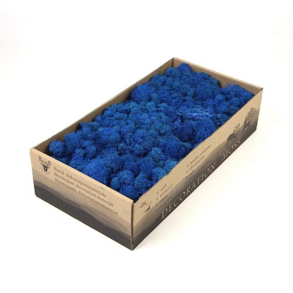 Classic Blue Reindeer Moss Natural Preserved 425g-450g Box, Floristry, Wreath Making, DIY Craft, Terrariums