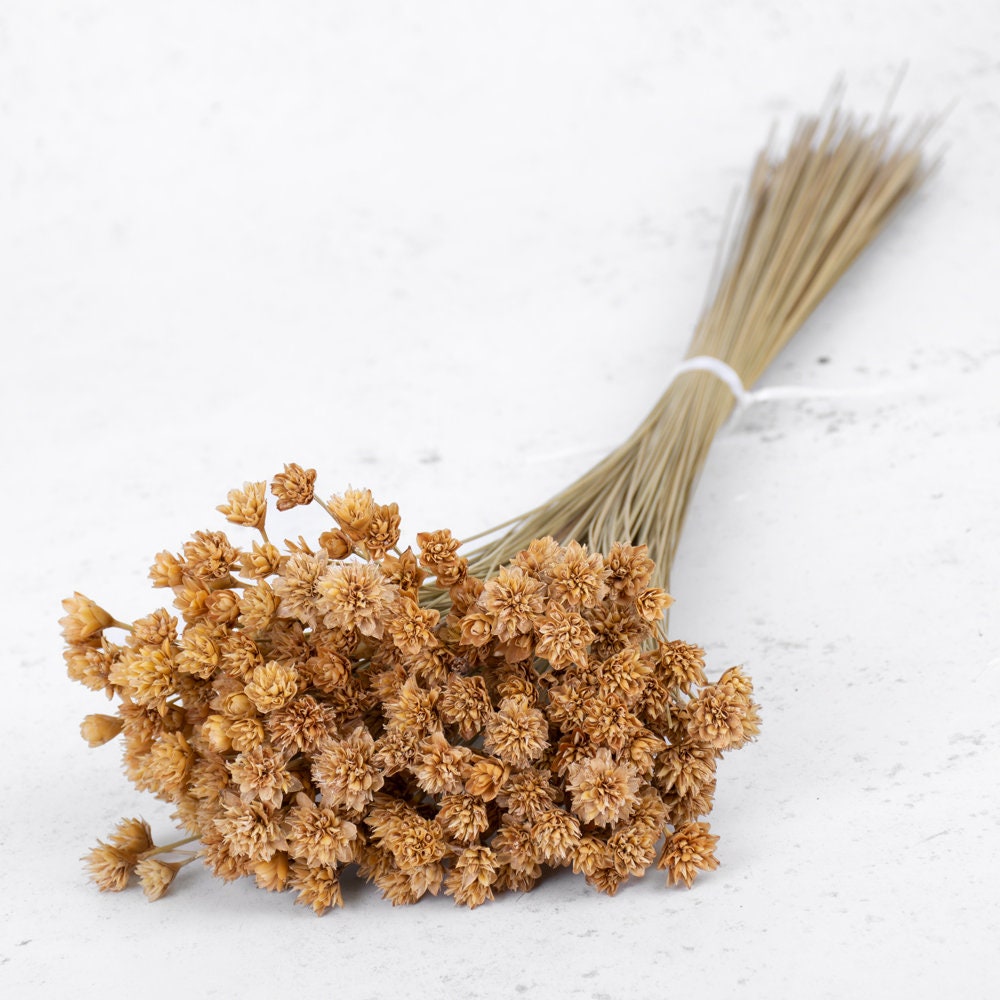 Dried Hill Flower Stem – 60cm Faux Stem for Seasonal Bouquets & Décor