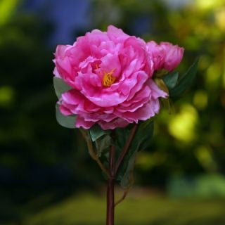 Artificial Cerise Pink Peony with Bud, faux peony, artificial peony, cerise pink peony