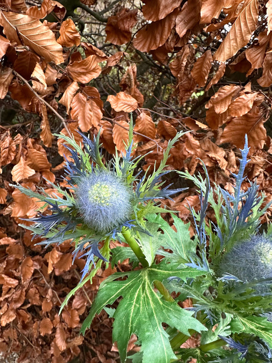Artificial Scottish Thistle Stem – 60cm Faux Blue Thistle for Bouquets & Wedding Décor