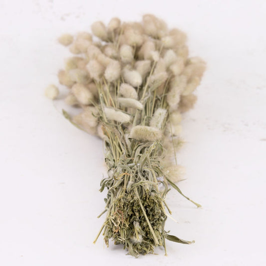 Dried Lagurus Ovatus Bunny Tails – 36cm Faux Stem for Bouquets & Seasonal Décor