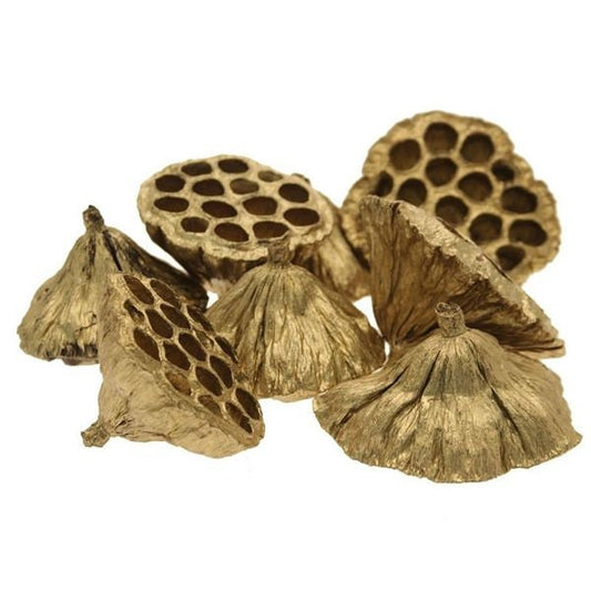 Gold Lotus Heads x 20 6-8cm Diameter, Christmas wreath, table centre, XMAS decor, Instagram styling