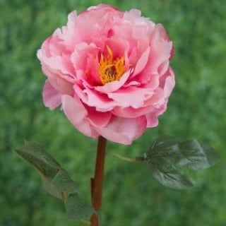 Artificial Peony Single Open Pink, faux peony, artificial peony, pink peony