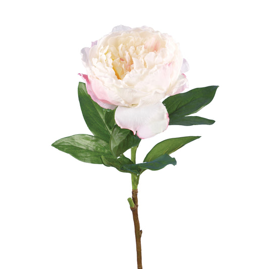 Artificial Peony Single Open Ivory Pink, faux peony, artificial peony, pink peony, 16cm Head Diameter