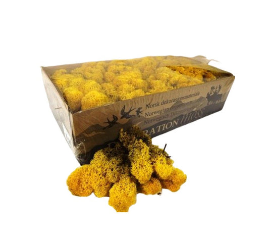 NEW Luxury Artificial Yellow Reindeer Moss Natural Preserved 425g-450g Box, Floristry, Wreath Making, DIY Craft, Terrariums