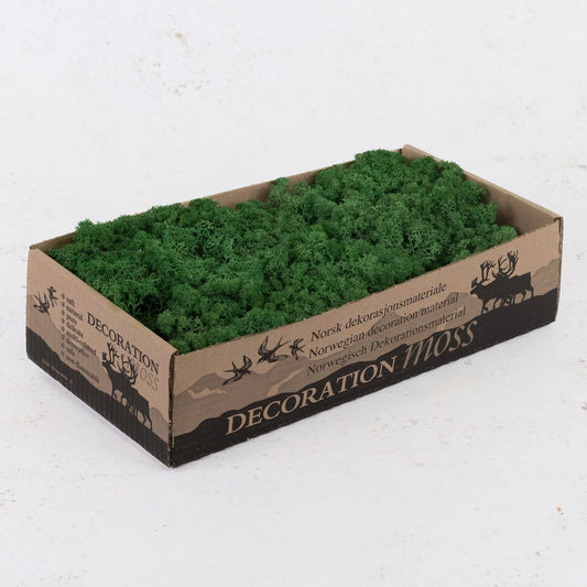 Grass Green Reindeer Moss Natural Preserved 425g-450g Box, Floristry, Wreath Making, DIY Craft, TerrariumsHornby railway modeling