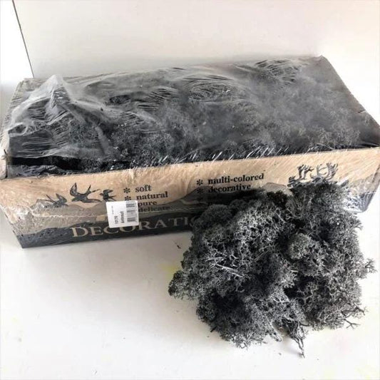 Grey Anthrazit Gray Reindeer Moss Natural Preserved 425g-450g Box, Floristry, Wreath Making, DIY Craft, Terrariums