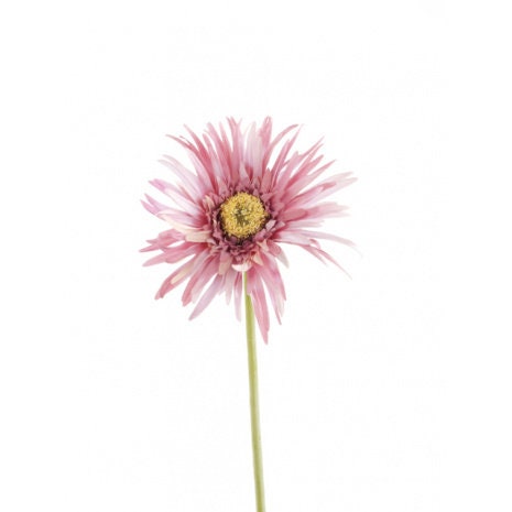 Artificial Gerbera Daisy Mauve Stem, artificial flower, faux flower, faux gerbera