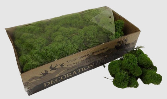 Medium Green Reindeer Moss Natural Preserved 425g-450g Box, Floristry, Wreath Making, DIY Craft, TerrariumsHornby railway modeling
