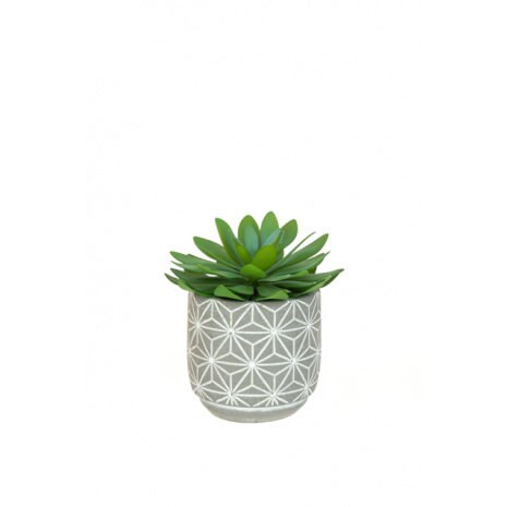 Artificial Cactus in Geometric Pot, faux plant, faux succulent, potted plant, Mothers' Day, Mother's Day gift, succulent plant