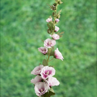 Artificial Lilac Hollyhock, lilac hollyhock stem, faux hollyhocks, silk hollyhock flowers, silk flower stem, lilac hollyhock, set styling