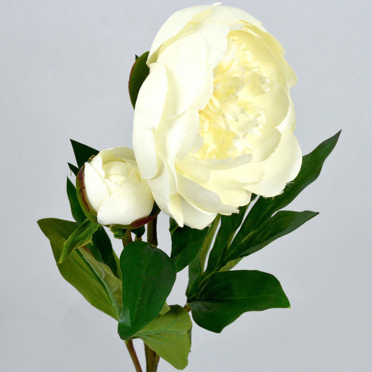 Artificial Cream Ivory Peony Frilled Petals With Bud, faux peony, artificial peony, ivory peony